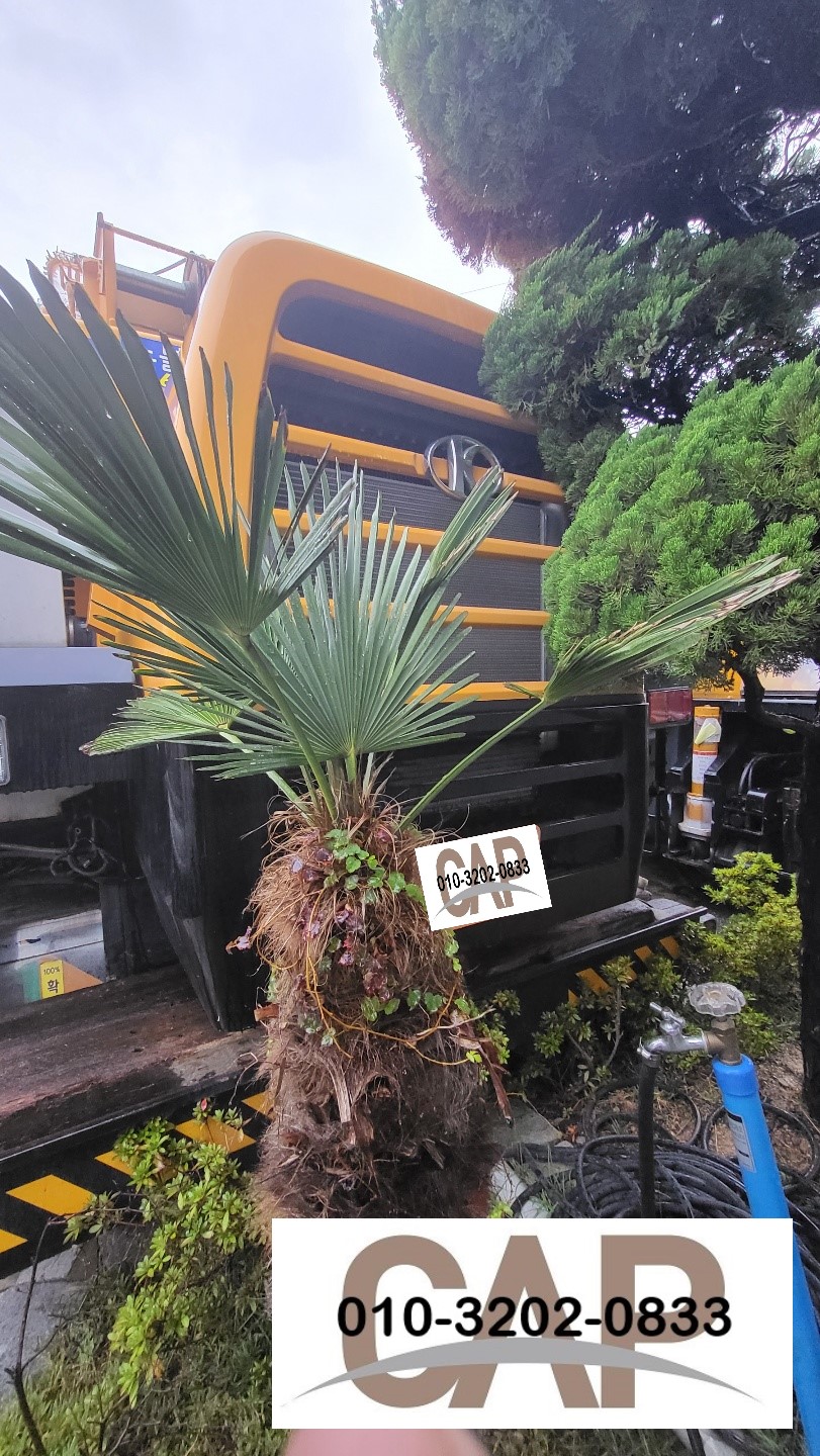 주식회사 캡(CAP LTD.)